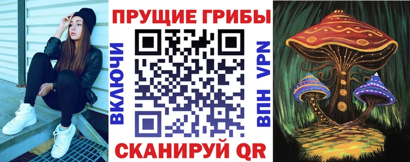 Купить закладки  Гаврилов Посад  Псилоцибиновые грибы Psilocybe 